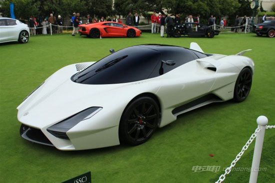 {賭波}(西尔贝tuatara布加迪杀手) {賭波}(西尔贝tuatara布加迪杀手)