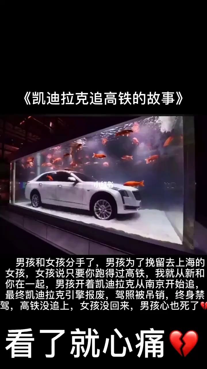 {體育投注}(凯迪拉克事件完整版)